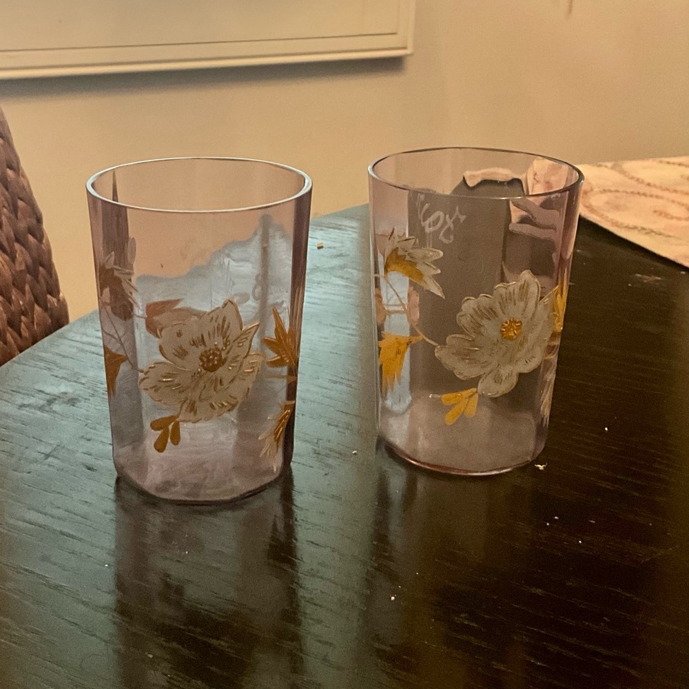 Antique hand painted drinking glasses from 1893 World’s Fair!